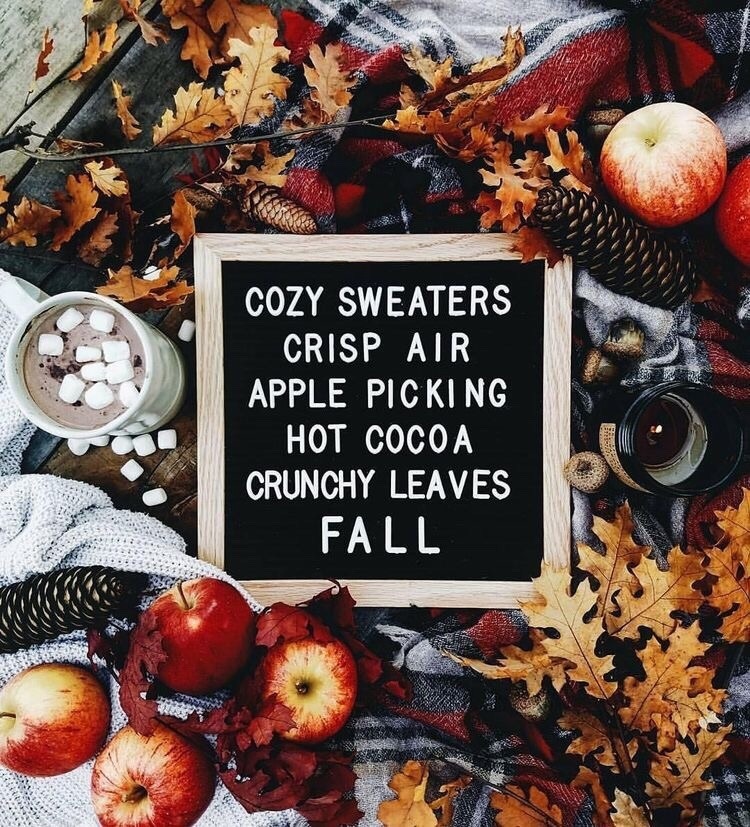 cozyinautumn:  Everything Autumn Plaid 🍂🍁