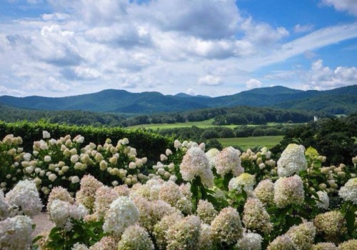 merchcolony:Blue Ridge Mountains -photo cred: Anna Q.