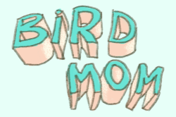 kaermter:  bird mom!