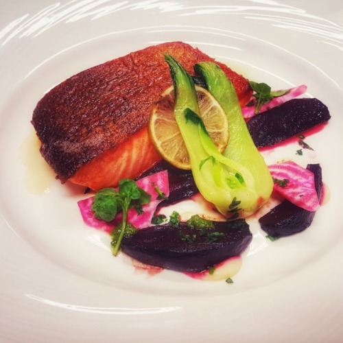Pan fried sea trout with cauliflower puree and candy beetroot.