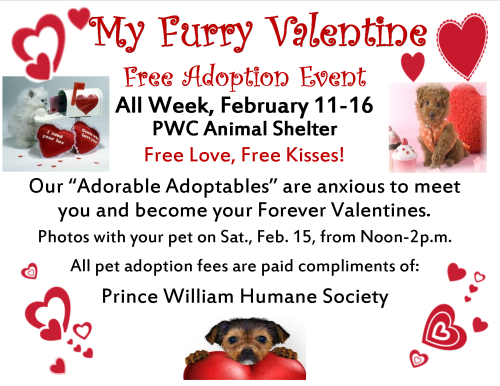 My Furry Valentine - Another free adoption event in Manassas, VA (via Prince William County Shelter)