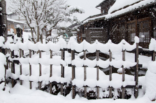 shirakawago