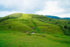 Yangmingshan National Park, Taiwan
Download here