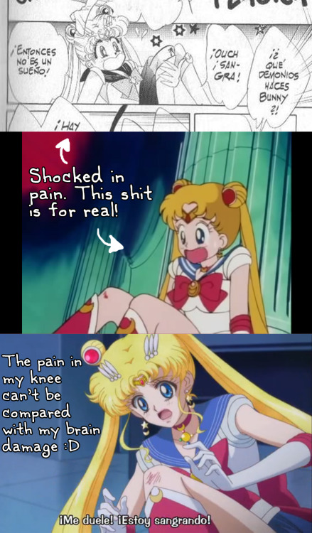 hezachan:  rockgaara:  princess-aubergine:  The new anime is better in a lot of things, the fidelity to the original dressing details, the jewelry, the shading, the scene composition (more simmilar to the manga, than the old anime), the effects, I even