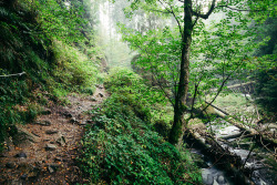 90377:    Ilsefälle by Oliver HenzeFacebook | Waldlandschaft | Posterlounge | Instagram | 500px   