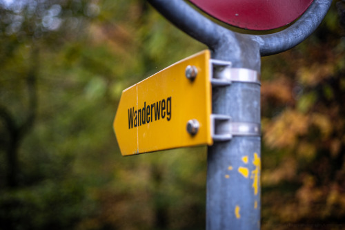 Wanderweg(German for Hiking Path)