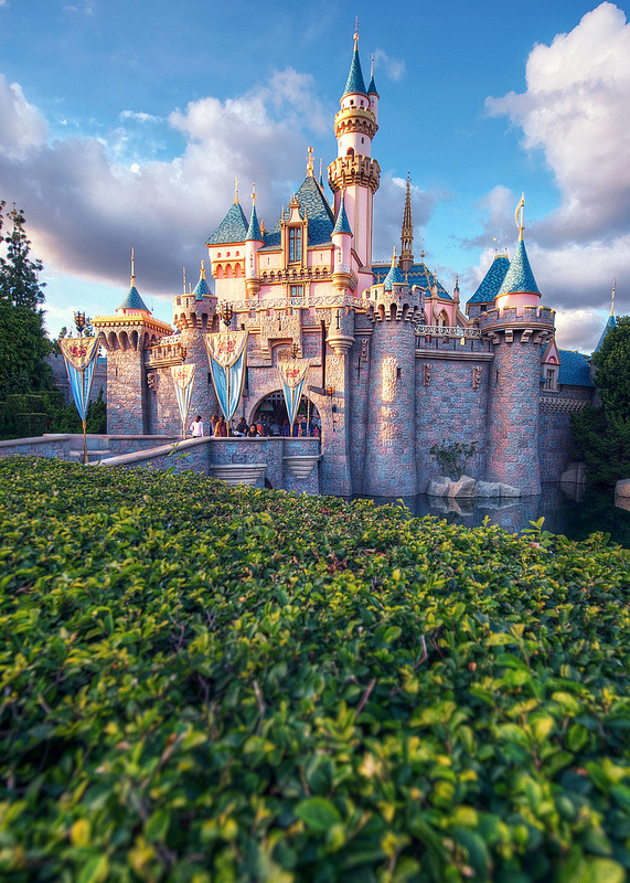 disneyprincess-onacid:  ;_____;