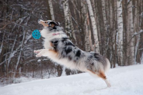 Sam and blue ball ~