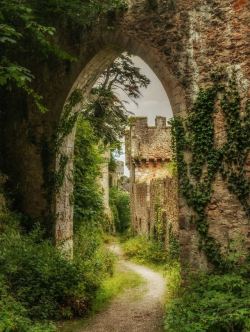 visitheworld:    Gwrych Castle / Wales (by