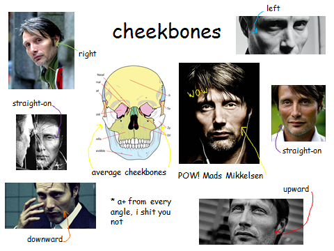 madsturbating:  Mads Mikkelsen’s Face; A Guide 