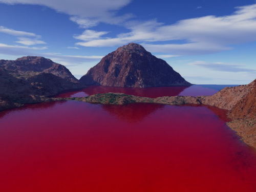 morg-ana: vvolare: Blood Lake in Texas - The blood red color is a result of Chromatiaceae bacteria w