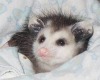 sleepy-bebby: