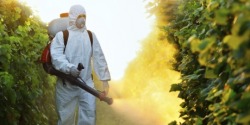 markruffalo:  ​Monsanto wants WHO to retract