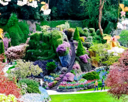 djferreira224:  Butchart Gardens ~ a group