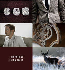 damnitfili: MODERN HOBBIT | THRANDUIL