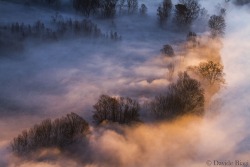 sapphire1707:  Mists | by DavideBiagi | http://ift.tt/15vpmfv