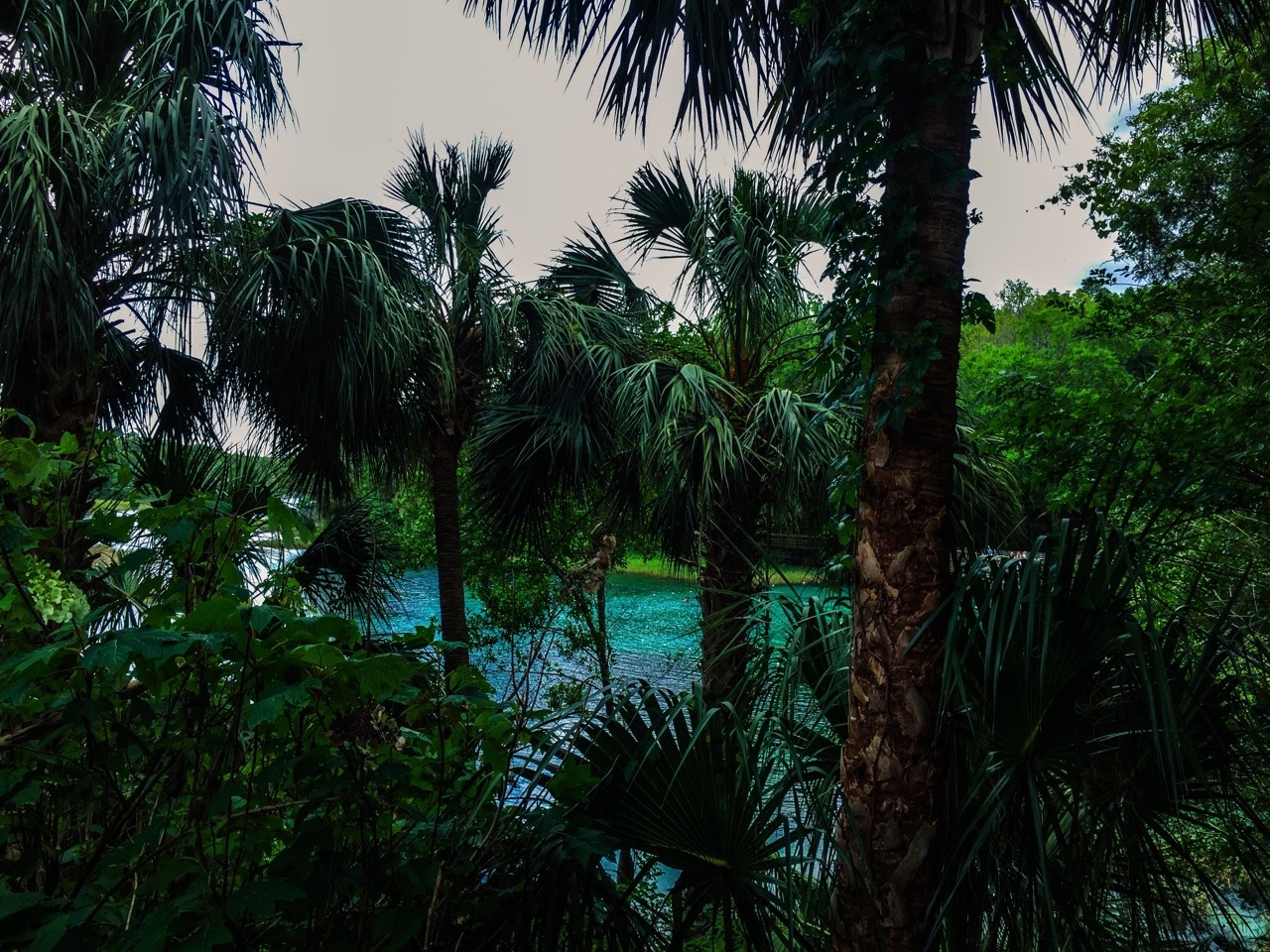 manifestvibrations:We got lost and found Utopia