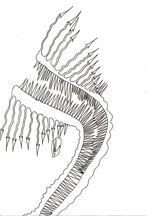 spiralplague