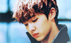 sohnrise:      Beast for Head     