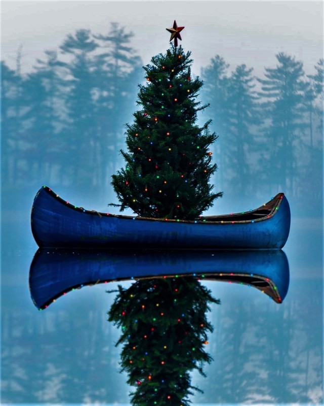 explore4release:wisco-warrior:Kiel James Patrick PhotographyOh Christmas Tree 🎄 