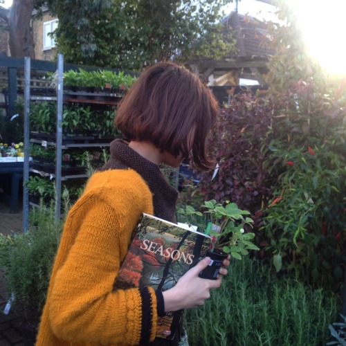stefanysite:  Plant shopping, I got a strawberry plant for very little.