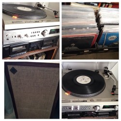 jonthewallflower:  Do you collect vinyl? I wanna see your setup! #recordcollection #vinyl #recordplayer #turntable