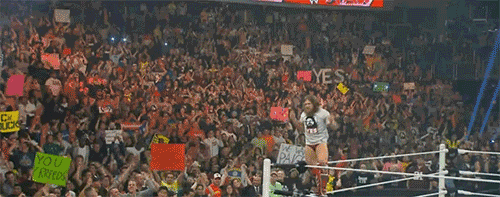 cripplerscrossface:  The #YesMovement in full action  