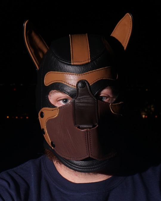 humanpuppics:  One of the more common questions I hear among those new to human pup play is what sort of pup hood or mask to consider… Of course this is always going to come down to personal preferences however I do have some thoughts on what a few