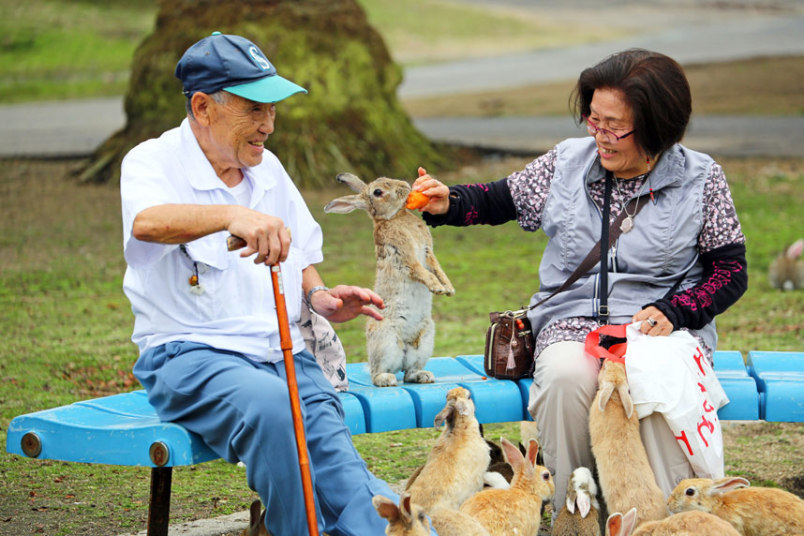 lost-and-found-box:  There’s a small island in Japan called Okunoshima with thousands