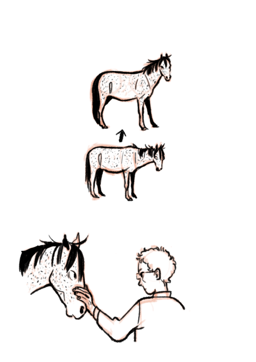 OKAY SO! Me and @pepplemint​ talked about a Haikyuu!! horse/equestrian au like. a year ago. But I’m 