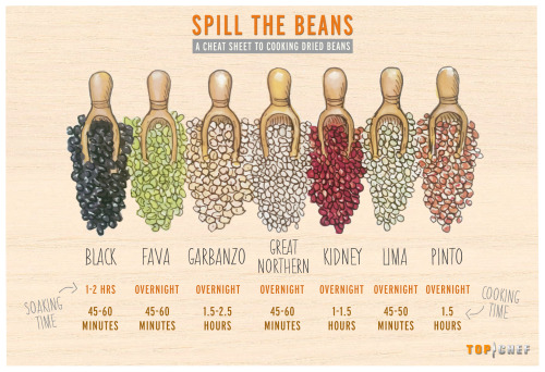 Can the canned beans and use our cheat sheet to work tastier, fresh ones into your own delicious din