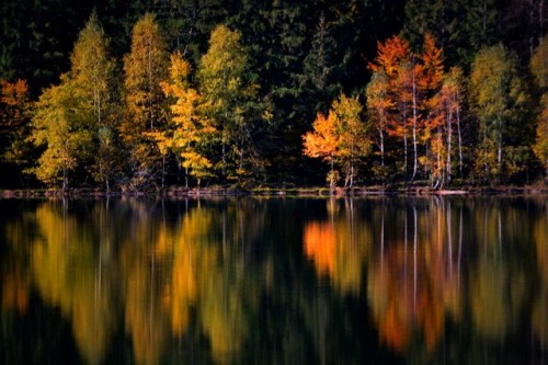 Lake. by Transylvanialand The volcanic crater of the volcano named Ciomatu Mare of the Eastern Carpa