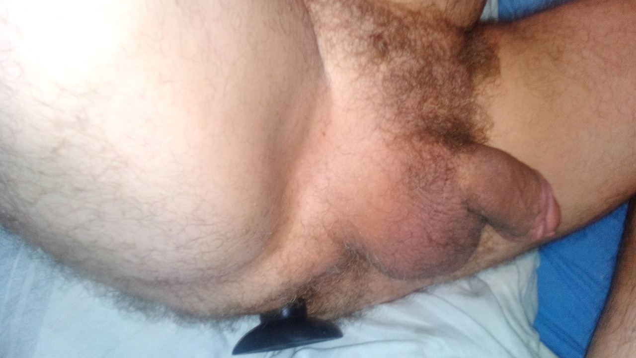 gestopfter Schweinearsch