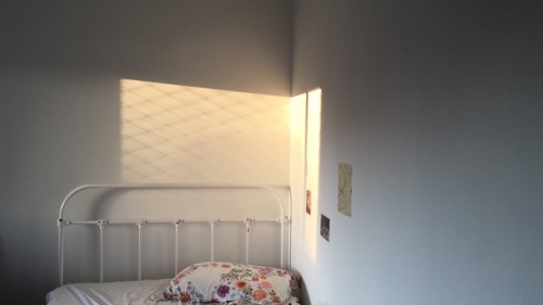 sunflaur: c'est beau, le soleil