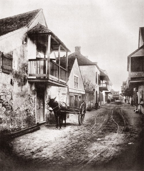 vintageeveryday: Charlotte Street, St. Augustine, Florida, with donkey and cart at left, 1886. Only 