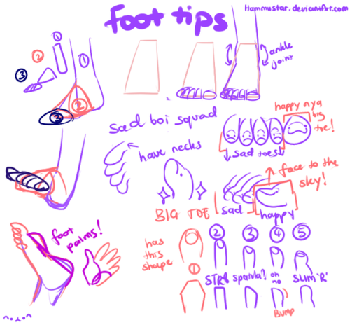 I Put Together Notes On What I Know About Drawing Feet. It’s Not 100% Accurate Or Anatomically Correct,