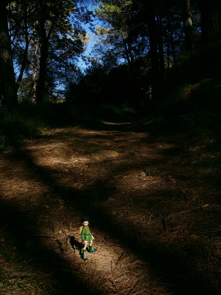 selusiblahblah:  I took some photos to my Gon figma with my compact camera! I swear