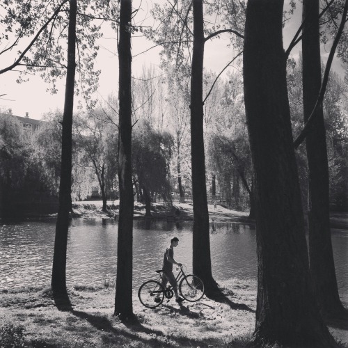 umcollective:  Arnold Galgoczi @ Flickr / Instagram