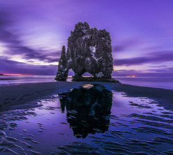 End0Skeletal:    Low Tide Wonders By Gonzalo Navarro Photographs   