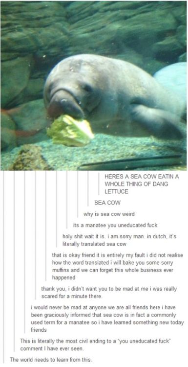 …. surprisingly… worth reading…. XD
