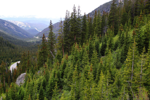 saepphire:   nature + more 