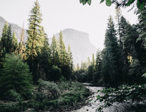 rootsgrowdeeper:  try and tell me this isnt one of the most beautiful places on this entire planet and I’ll slap ya in the damn face. 
