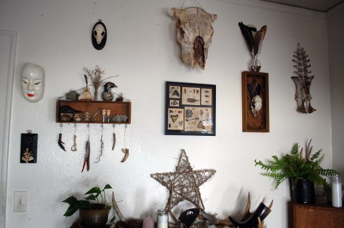 wolftea:  wall