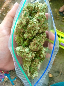 Babes-N-Blunts