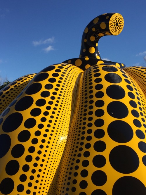 Now THAT’S a gourd. Last month, our @hirshhorn welcomed Yayoi Kusama’s “Pumpkin” to their plaza, whi