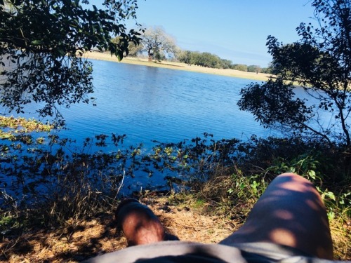bulgewatcher504:  Beautiful day in the park