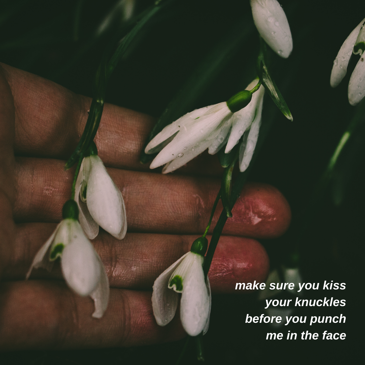 aesthetic-lyrics:twin size mattress // the front bottoms