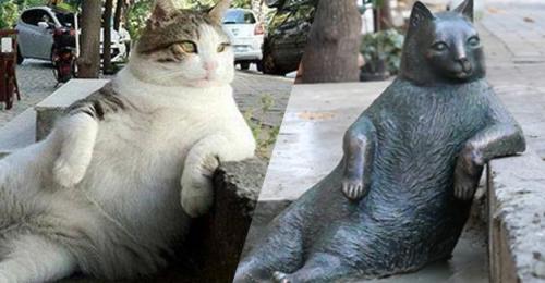 chrysanthemumboy:sixpenceee:A sculpture created in memory of “Tombili,” the portly cat who became a 