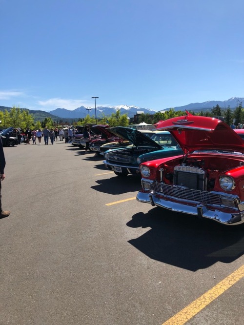 123rd annual Irrigation Festival parade this morning and then a car show after , Freya enjoyed all the people