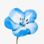 bluebelle834